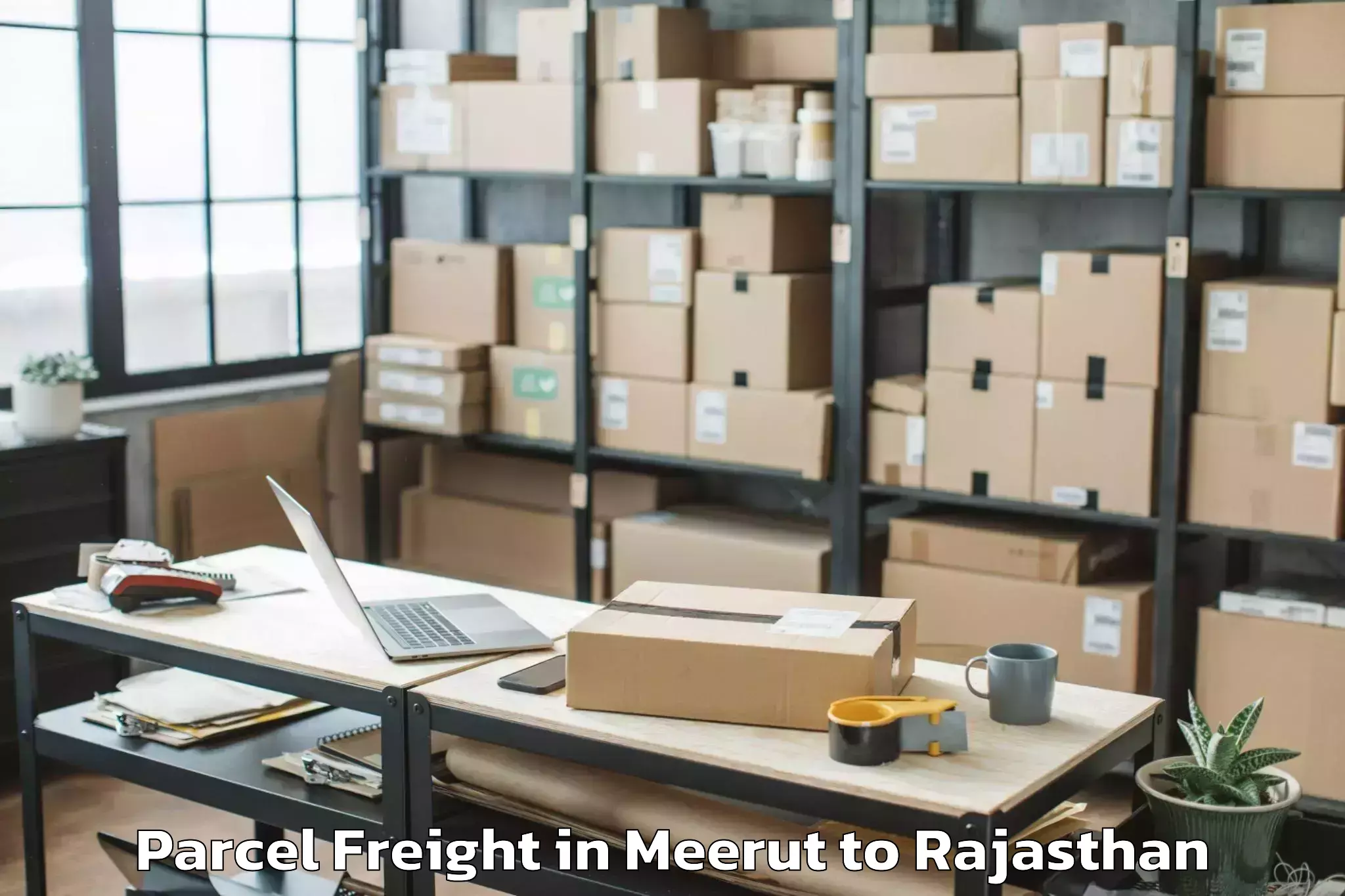 Quality Meerut to Madanganj Kishangarh Parcel Freight